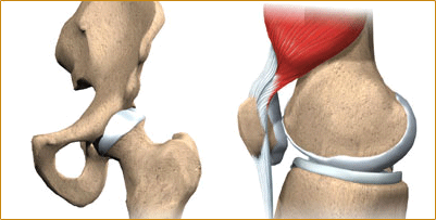 骨质疏松多久可以改善 B008BNCK92-4.jpg