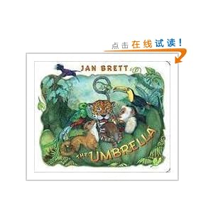 The Umbrella: board book