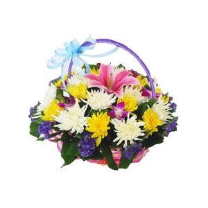 悼奠花篮小组,悼奠花篮价格比较、最新报价、