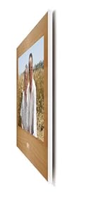 倍视亲-倍视亲 高端定制数码相框 限时赠送价值