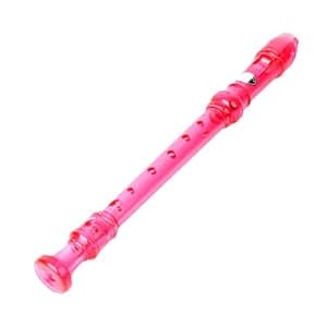 BEE蜜蜂牌儿童8孔竖笛配教材 (红色): 亚马逊中