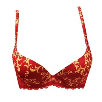 YLK 雅兰卡 <em>古今代理</em>品牌高贵典雅印花聚拢蕾