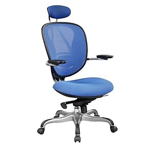 【京好】电脑椅子 护腰办公椅Fw-99 人体工学