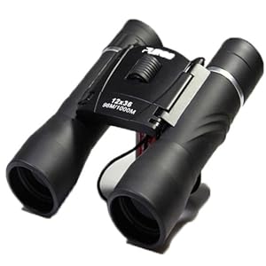 望远镜多少倍最清晰 413mXzjklYL._SL500_AA300_.jpg