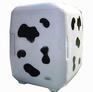 维德 6L小冰箱 车载电冰箱 家用迷你小冰箱 两