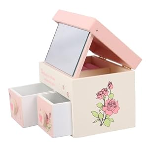 收纳盒怎么装饰才好看 415GvzFmNcL._SL500_AA300_.jpg