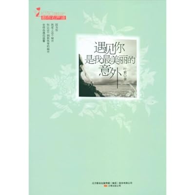 遇见你是我最美丽的意外\/叶紫-卓越亚马逊