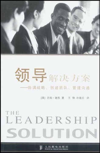 领导解决方案:协调战略、创建团队、管理沟通