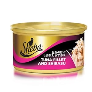 <em>辣妹子</em> 桔片爽 260g*12水果罐头 <em>橘片爽</em> 水果饮