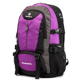 旅行包大容量双肩 41EesHGSd-L._SX342_.jpg