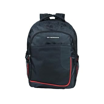 旅行包双肩包哪款好 41FtmchrntL._SX342_.jpg