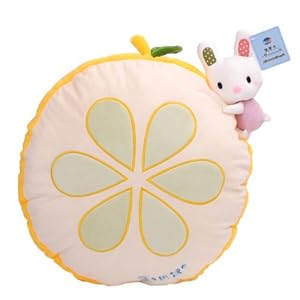 水果猕猴桃抱枕40324小组,水果猕猴桃抱枕40