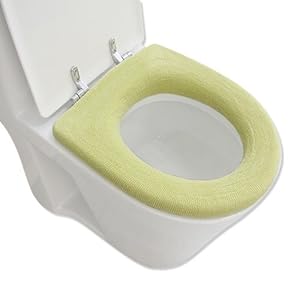 马桶坐便盖价格 41SHGymaYQL._SL500_AA300_.jpg