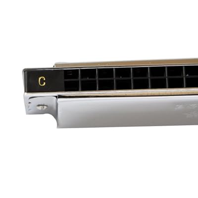 24孔复音口琴进口哪里买卖比较好的 铃木24孔