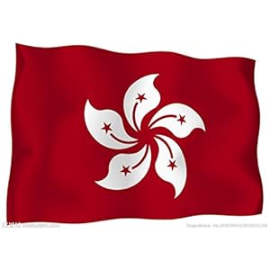 旗帜+四号香港旗