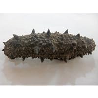 海滨小金 青岛特产 山东水产干货散装海参在亚