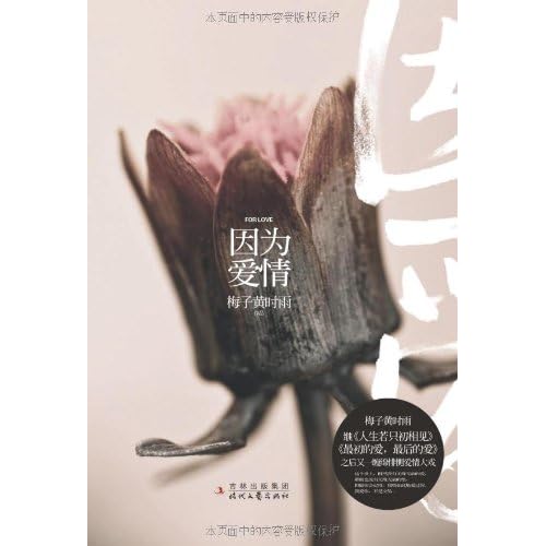 梅子黄时雨的小说 郭敬明小说包邮正版