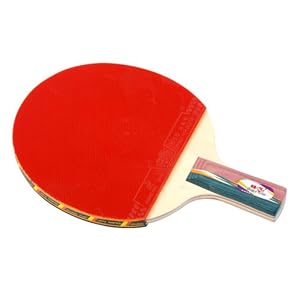 便宜又好用的乒乓球拍底板 41Z4n0%2BGKuL._AA300_.jpg