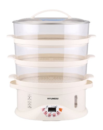 HYUNDAI韩国现代电子蒸笼BD-ZL101:亚马逊