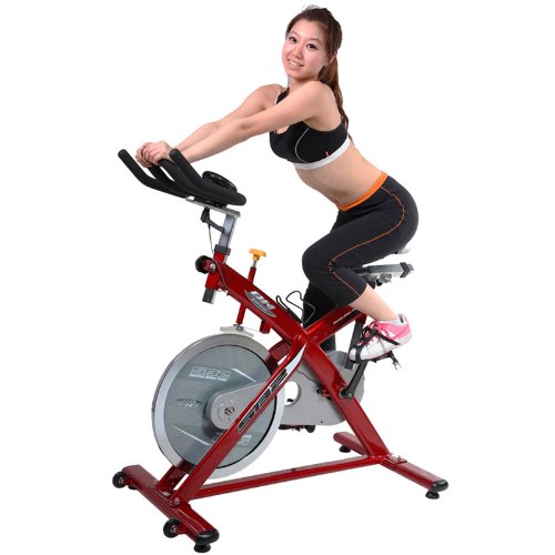 百年品牌 西班牙BH-H916N商用专业动感单车 