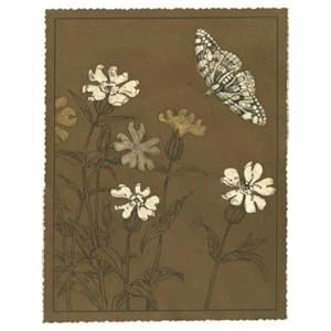 Elite-View 经典传承 进口装饰画 OOL8127 61x