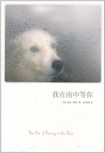 我在雨中等你\/加思·斯坦南海出版公司-图书杂志-小说-中国当代小说 | 网购-拍拍网