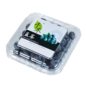 Fruitday天天果园 青岛千木蓝莓24盒装 -限上海