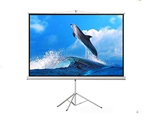 原装正品厂家直销宏影支架幕 100寸4:3白塑幕