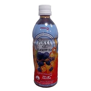 POKKA百嘉宝 蓝莓冰红茶(风味饮料) 500ml (新