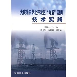 区九五期间技术实践\/董焕忠-图书-亚马逊