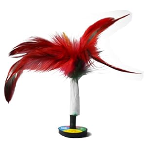 太仓新健牌 正品批发 训练比赛用 鸡毛 毽子 耐