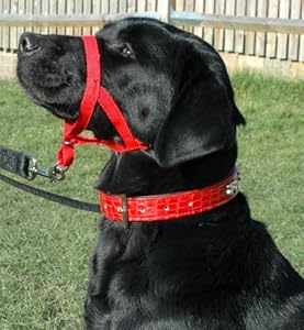 HALTI哈迪犬用嘴项圈(防攻击口环,嘴套)REDs