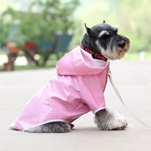 宾狗Bingo宠物雨衣 (粉色, L)-宠物用品-亚马逊