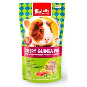 Alex 亚力士 天竺鼠粮 荷兰猪 豚鼠 葵鼠粮 - 1kg