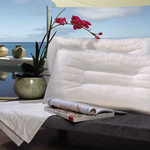 富安娜枕头,比比西老婆,关于奋斗拼搏的歌曲,祛