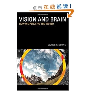 Vision and Brain: How We Perceive the World\/