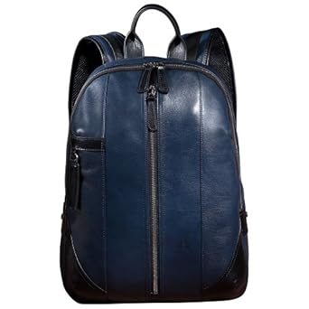 皮男包 男士双肩包 时尚欧美范休闲真皮背包(宝