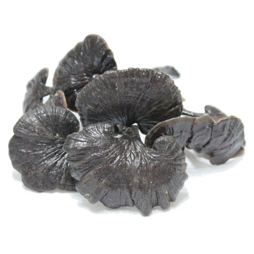 海南五指山野生灵芝 野生竹灵芝(1克) 本地山民