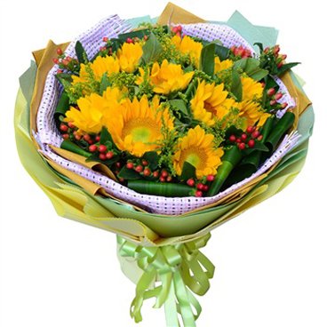 * 快乐你懂得-11枝向日葵 乐山鲜花 重庆,天津