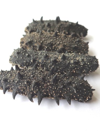 青岛老尹家海参特产 纯淡干海参 野生刺身干货