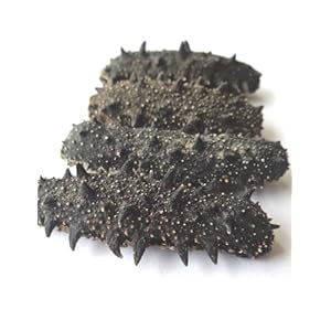 青岛老尹家海参特产 纯淡干海参 野生刺身干货