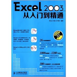 Excel 2003从入门到精通(附光盘)
