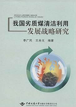 《我国劣质煤清洁利用发展战略研究》 李广民