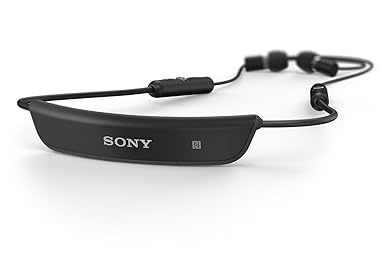 SONY\/索尼 SBH54蓝牙耳机收音机有线通用领