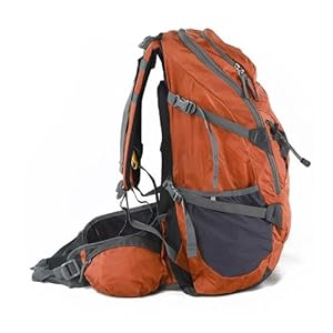 旅行包双肩包超大容量有型 51j%2BBQZ1DpL._AA300_.jpg