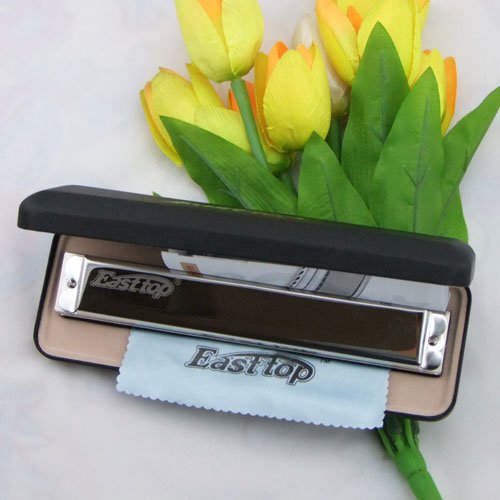 东方之最24孔C调复音口琴 T2403 银色专业演