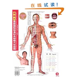 《便携式最新国际标准针灸经络穴位挂图(男性
