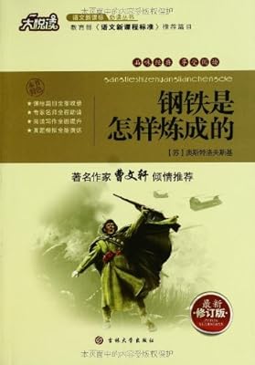 《钢铁是怎么样炼成的》,第二章。800字概括,