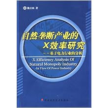 自然垄断产业的X效率研究:基于电力行业的分析