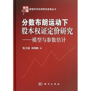 分数布朗运动下股本权证定价研究:模型与参数估计